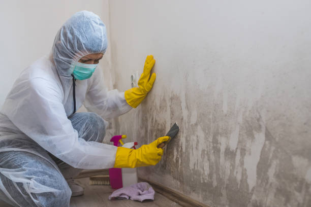 Crawl Space Mold Removal in Franklin Square, NY